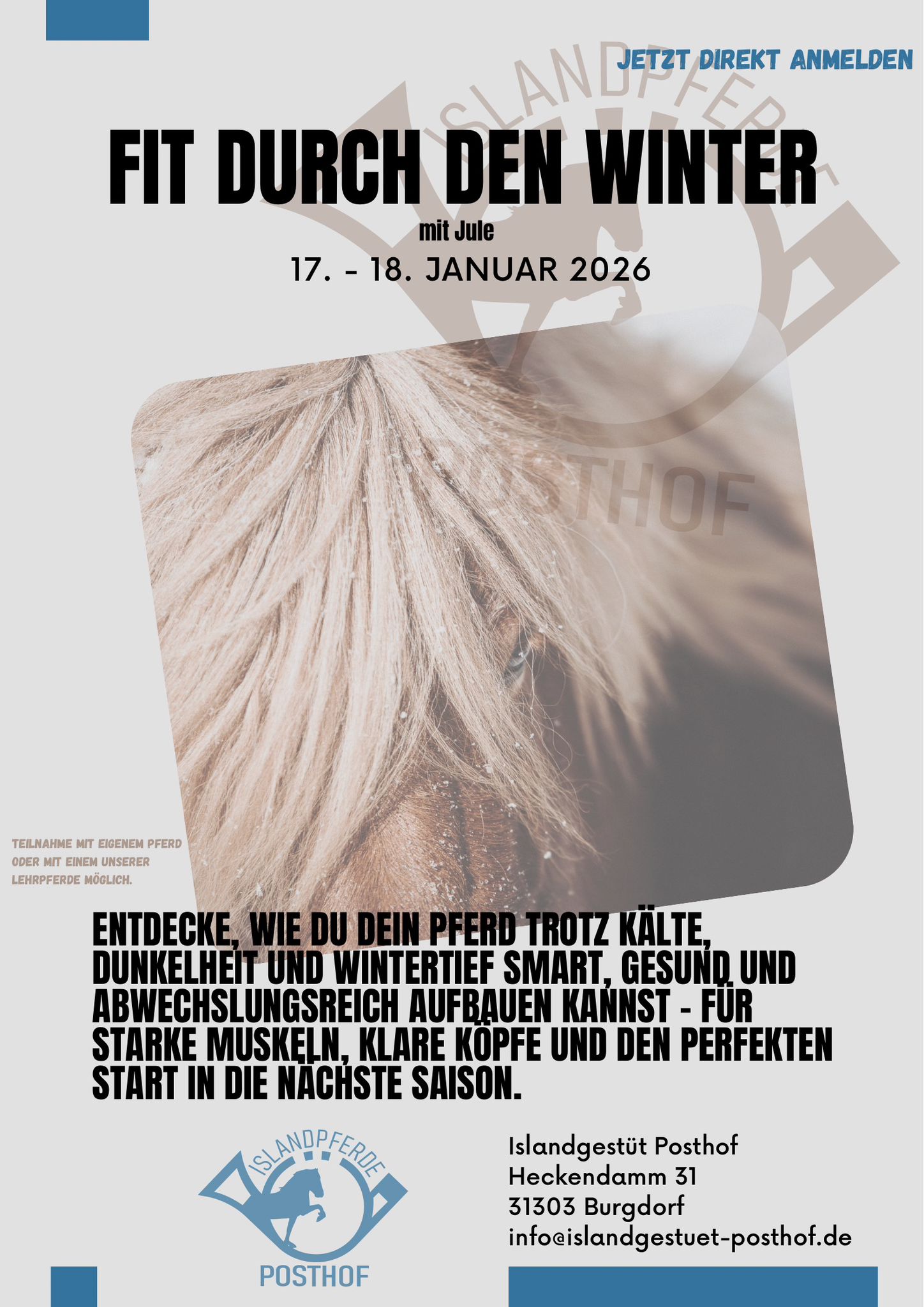 Pferdeführerschein Flyer